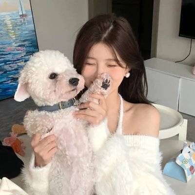 真爱伴鹅行